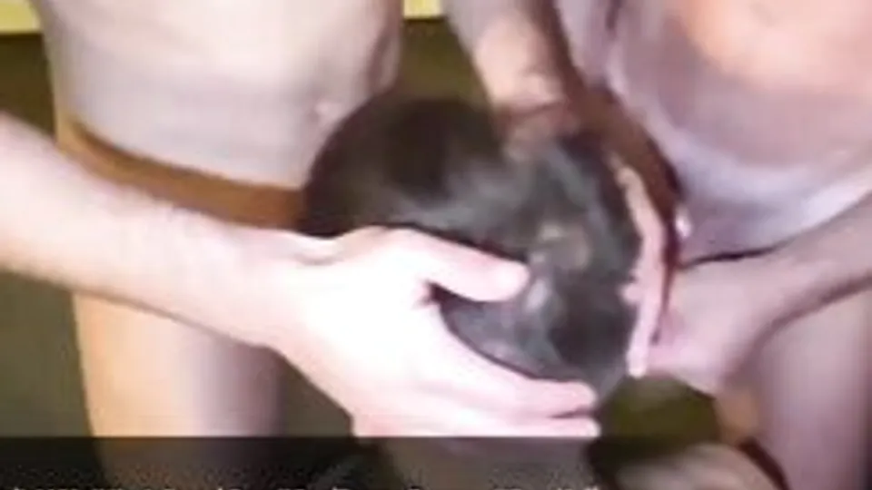 $lutty Boy Getting Manhandled By Daddies in The Garage Porn