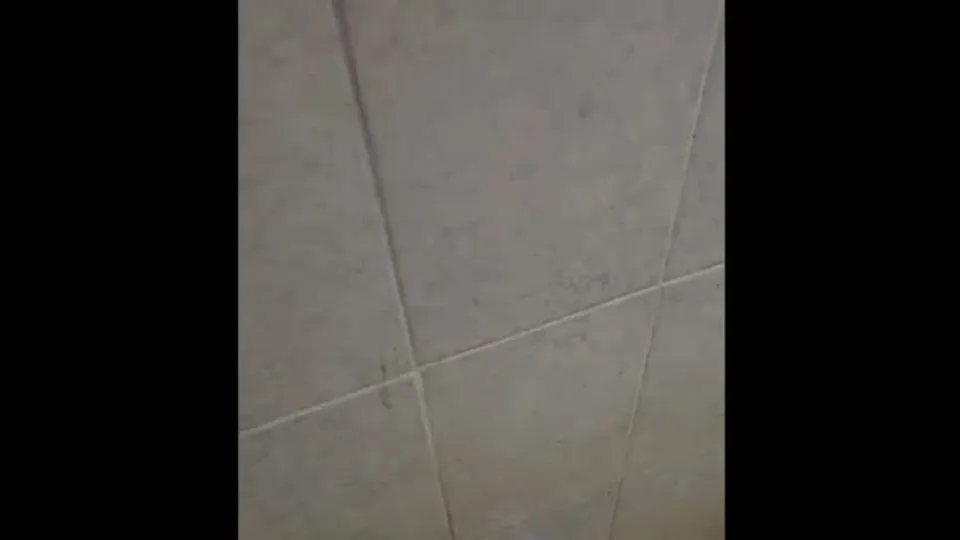 Manja Rola Fucks in Festival Toilet