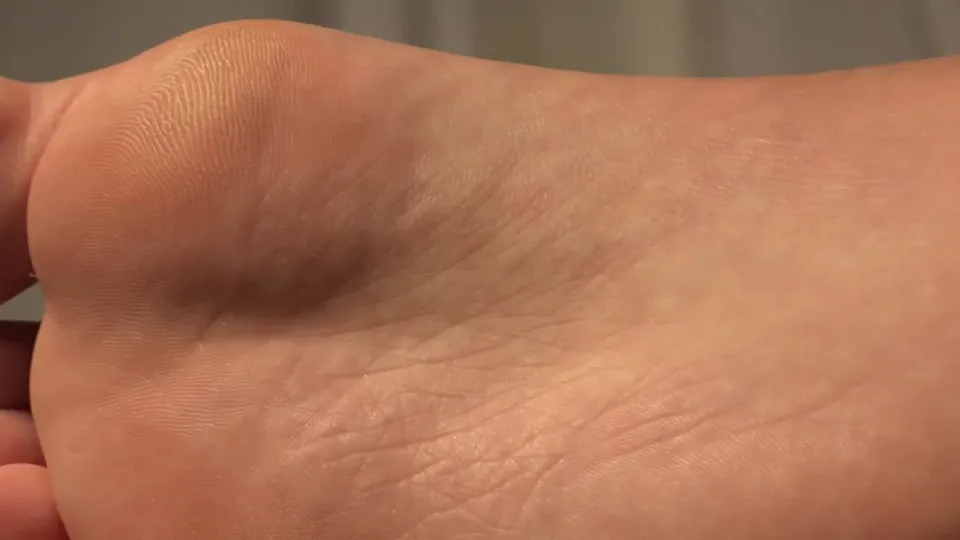 마틴 폴나크의 친밀한 만남