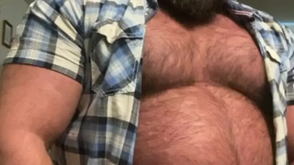 Massive manly Canadian bull - ThisVid.com