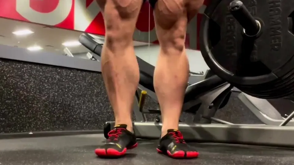 Massive Quads - video 2 - ThisVid.com