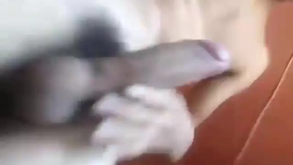 Masturbándose en el baño - video 2 - ThisVid.com