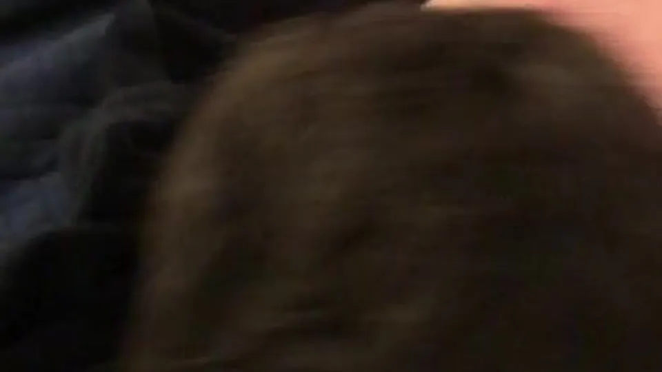 Matt and Dick (mattanddick) gay porn video (210)