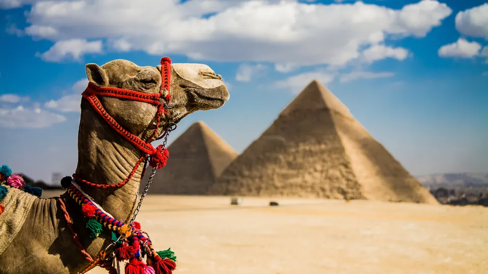 Men of Egypt - ThisVid.com