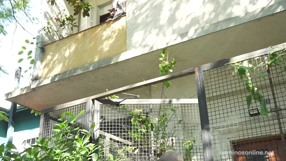 Miguel Baiano and Pedro Fontes.mp4
