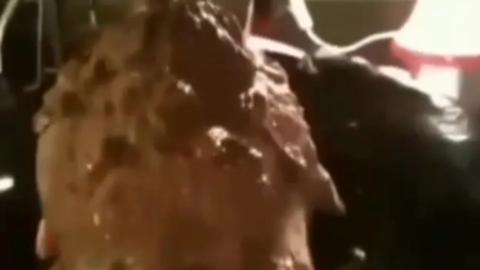 Mountain of poop in boyfriend's mouth - ThisVid.com