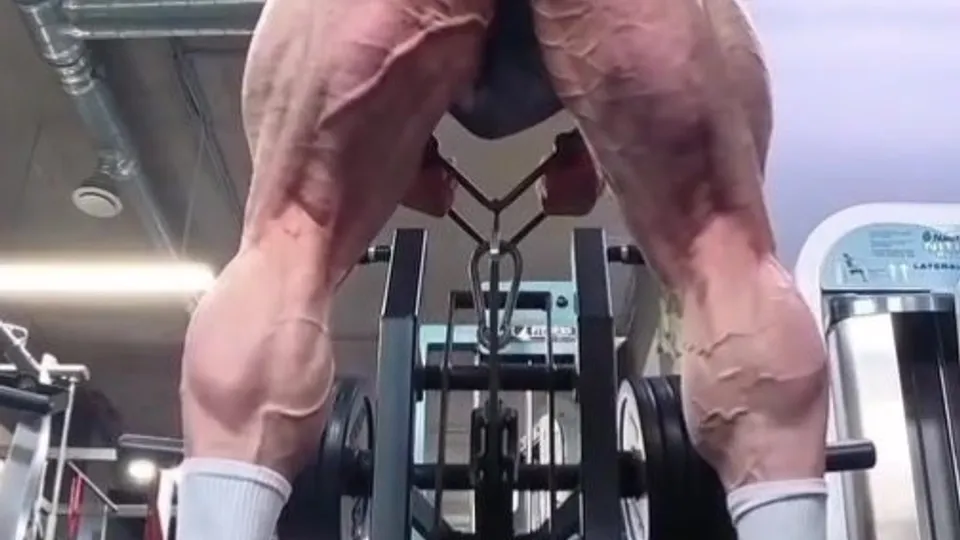 Muscle Is Porn - video 4 - ThisVid.com