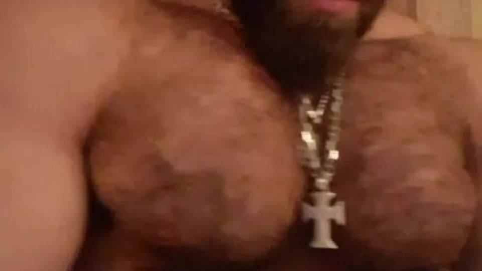 Hairy Musclebear Pec Bouncing