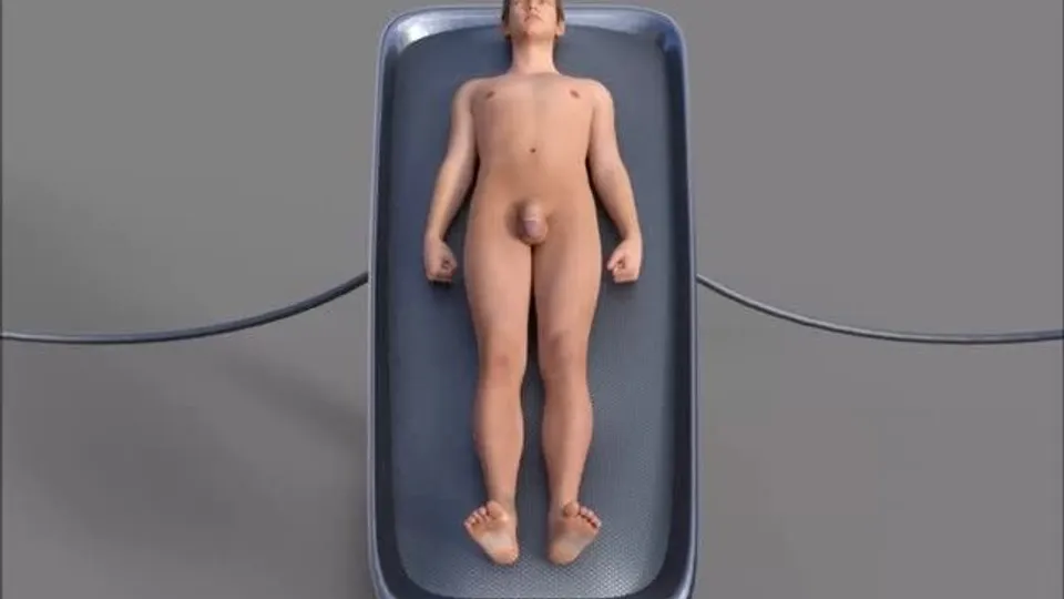 미래 로봇의 즐거움