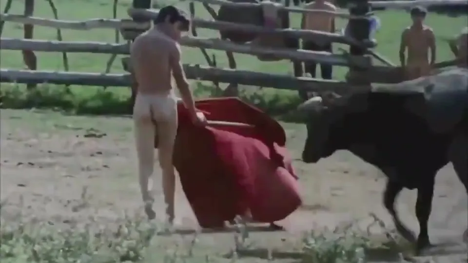 Naked Bullfighting - ThisVid.com