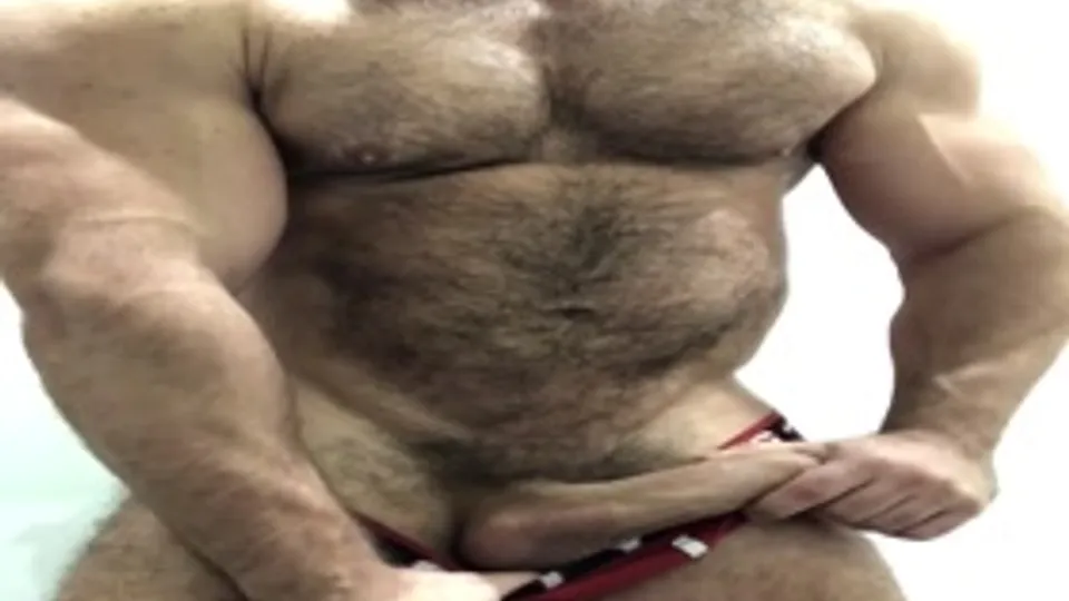 NASTY PIG !