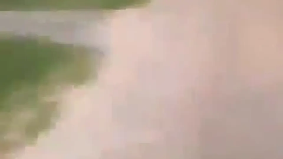 Skinhead Re-education Fetish Scene