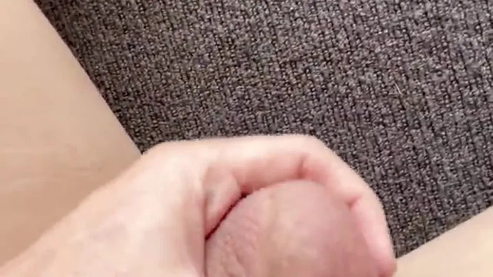 La balade sauvage de Nick et Lily