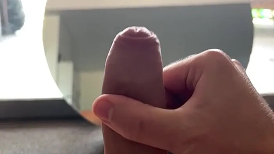 尼克和莉莉的疯狂之旅