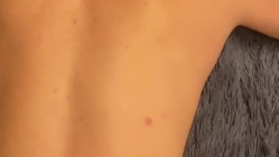 Handsome Buck's Wild Ride