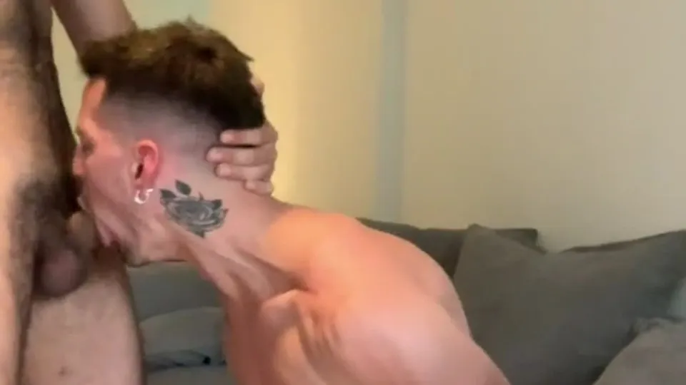 Salvador's Wild Ride