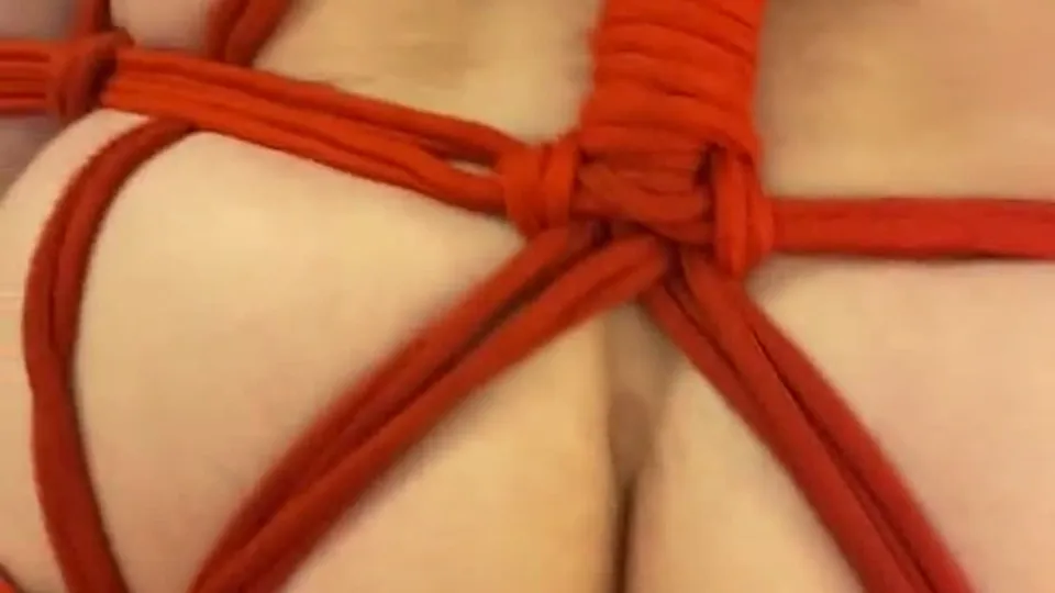 Bound Wood: Intimate Encounter