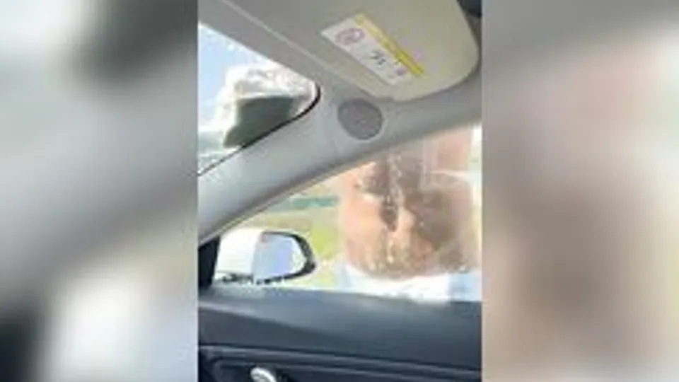 [OF][58] Sebastian fucks and cumshots