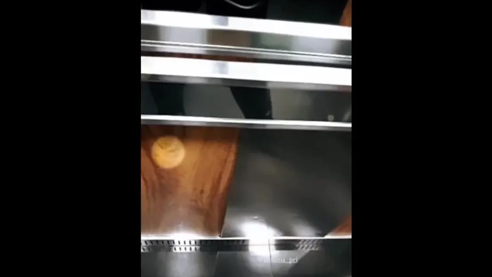 Olhe e observe é sua única opção