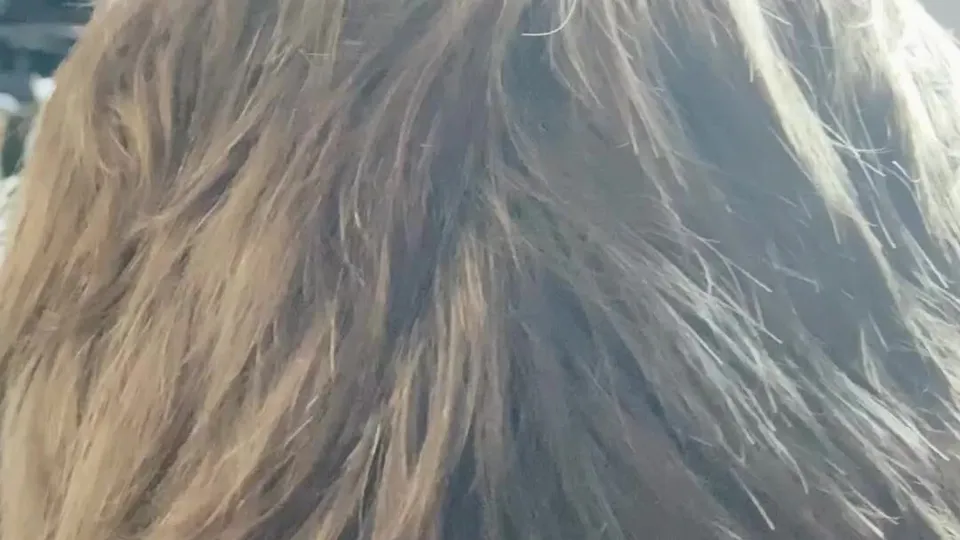 OnlyFans - Zilv Gudel & Rourke @gudelzilv Part 2