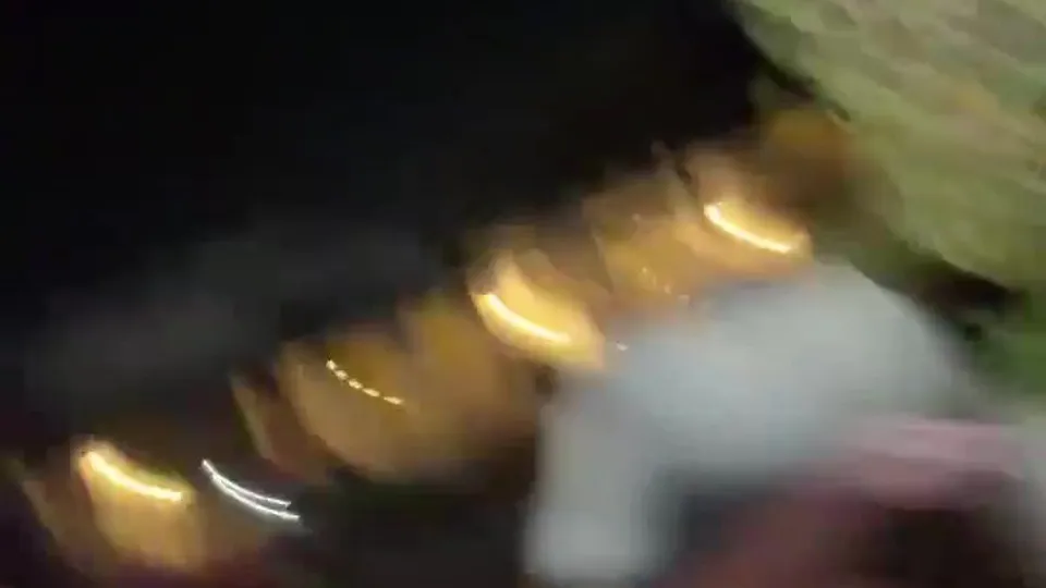 Opash and some friends are having some fun