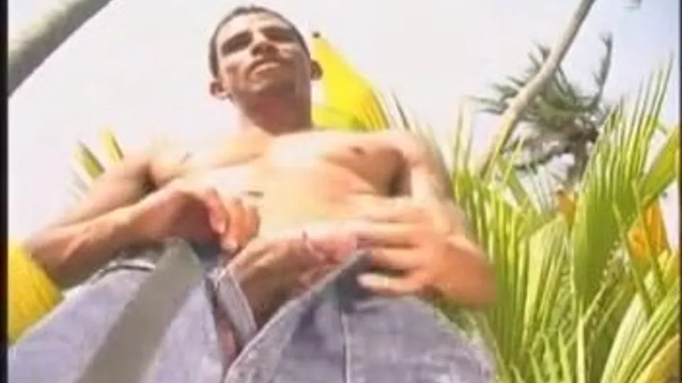 Pacific Sun - Foreskin Island