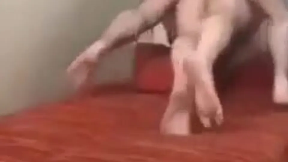 Painal's BDSM Chase