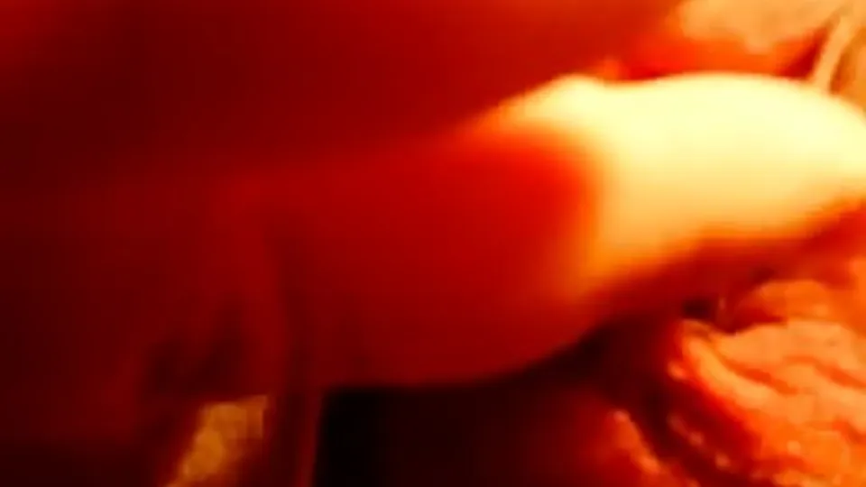 Penis plug