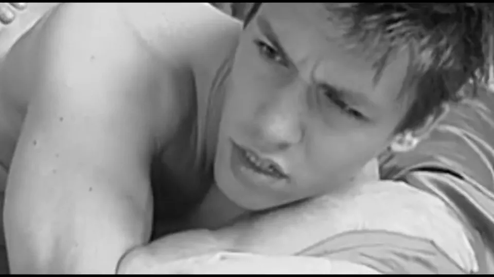 Perverse pigs (gay collection)