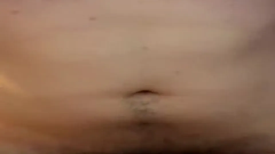 Peterbr's Raw Bareback Anal