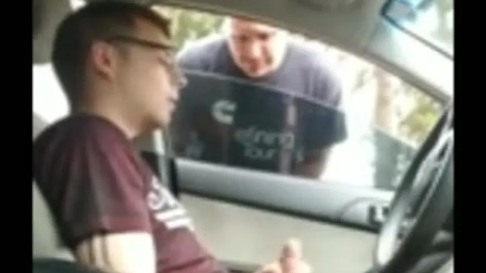 Pig jerking off, joined by another - ThisVid.com