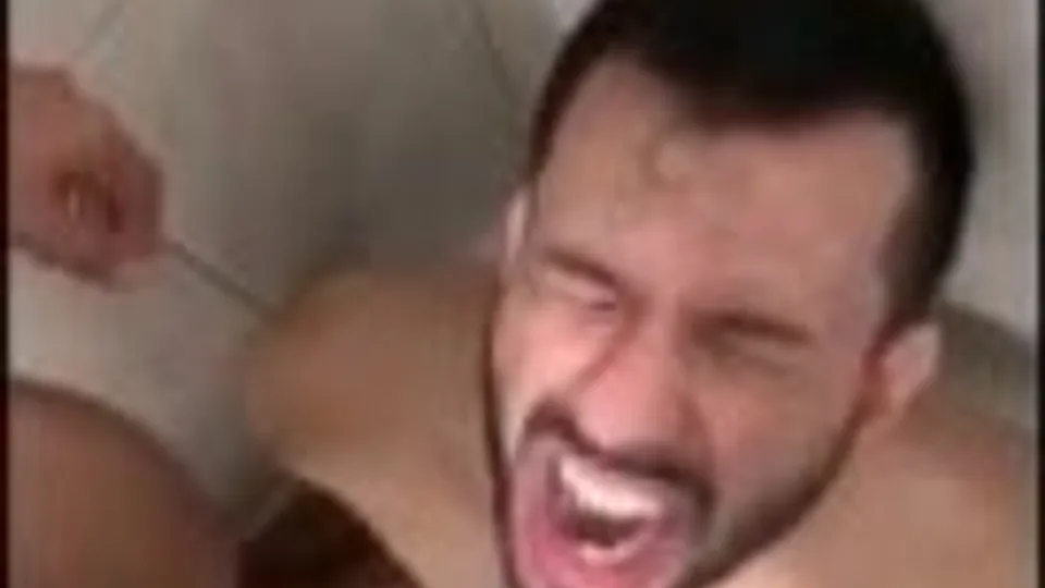 Piss drinking pigs part 9 - ThisVid.com