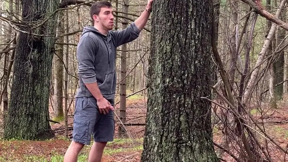 Pissing in the forest - video 5 - ThisVid.com