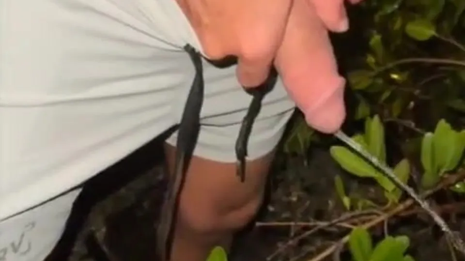 Pissing With Nearly A Boner - ThisVid.com