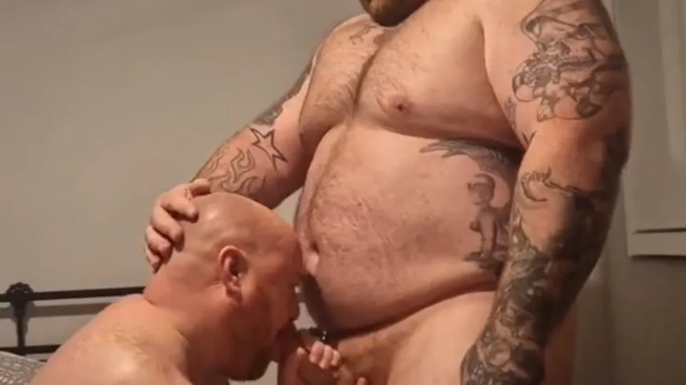 Pocket bear - ThisVid.com