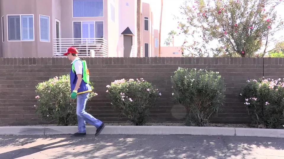 Poke' Twinks A XXX Parody (2017)