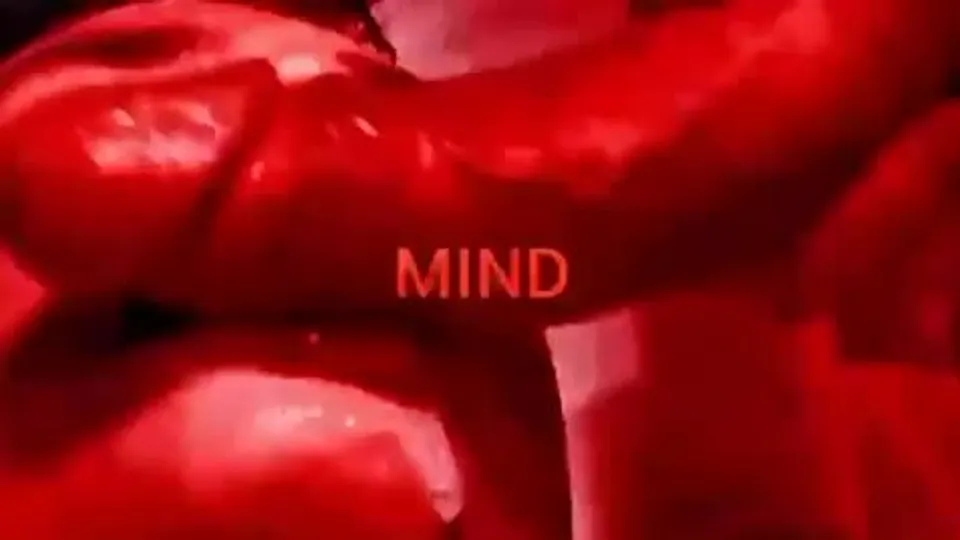 Popper trainer - video 3 - ThisVid.com