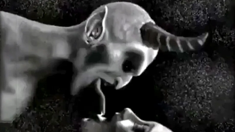 Poppers Trianer - Satan Hard Style - ThisVid.com