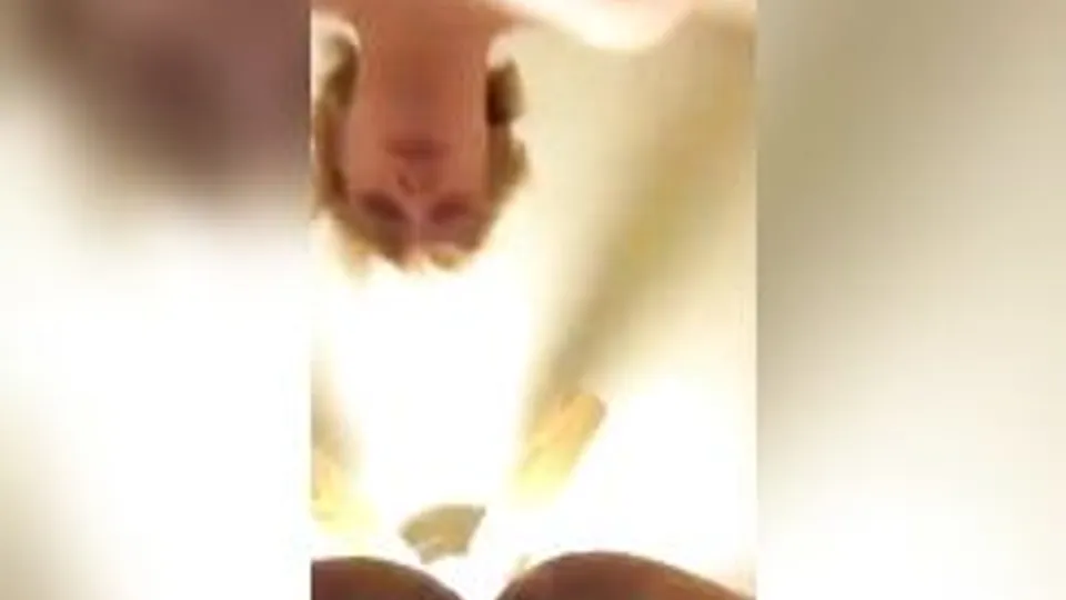 Pound his hole into oblivion
