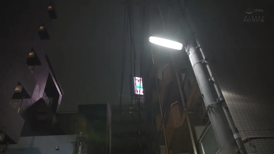 Frustrated Bosses' Harem