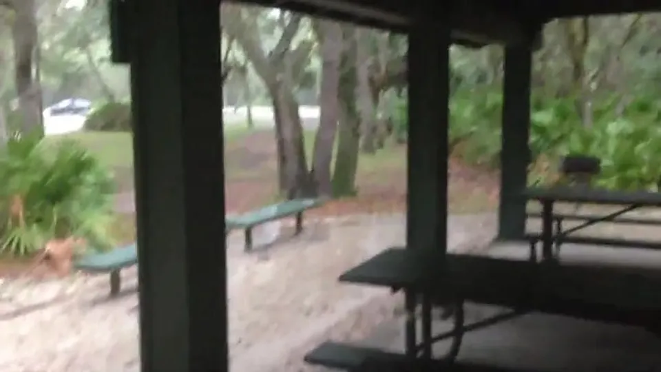 Public Park - video 2 - ThisVid.com