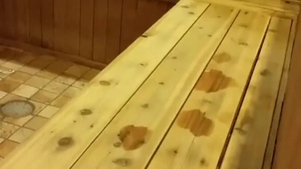 Py_guy_in_sauna_poking_out_ - ThisVid.com
