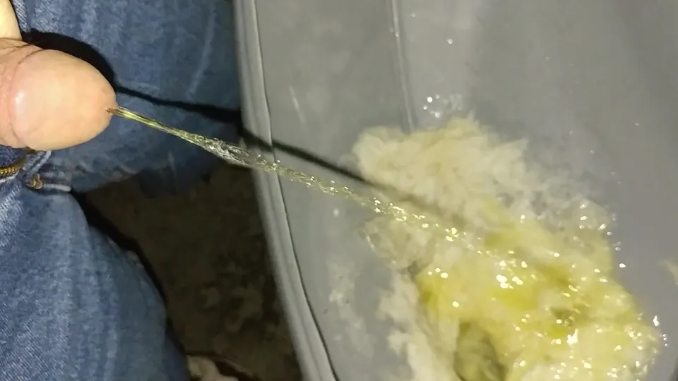 Quick piss in a porta potty - ThisVid.com
