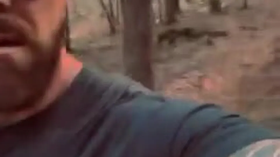 Redneck jerks off in the woods and cum - ThisVid.com
