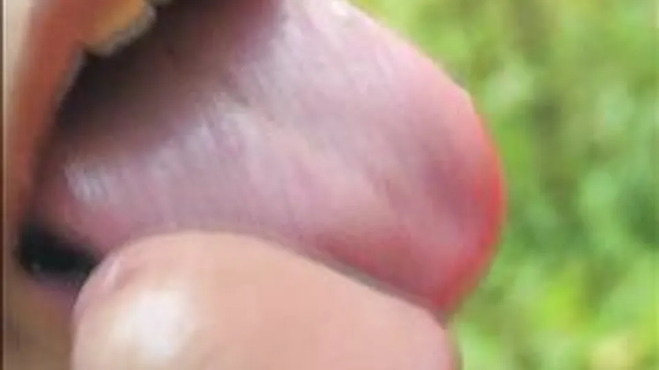 Rubax Video - 69 Sweet Holes 2.Title5