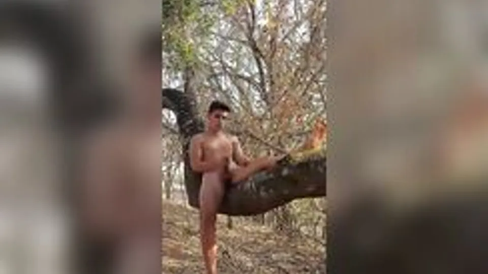 Rubax Video - Outdoor Bate in a Tree