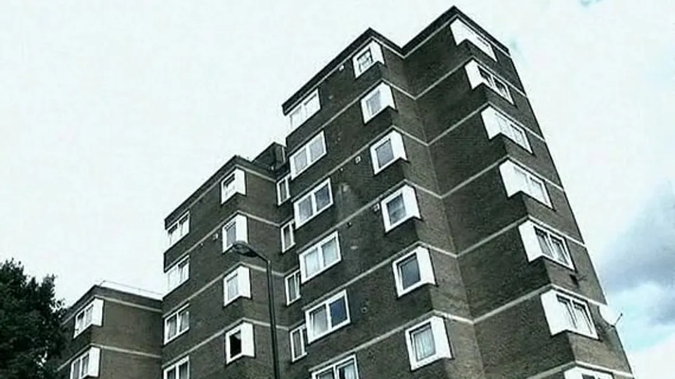 Rudeboiz 8 - Hung Ladz XXL (2007)