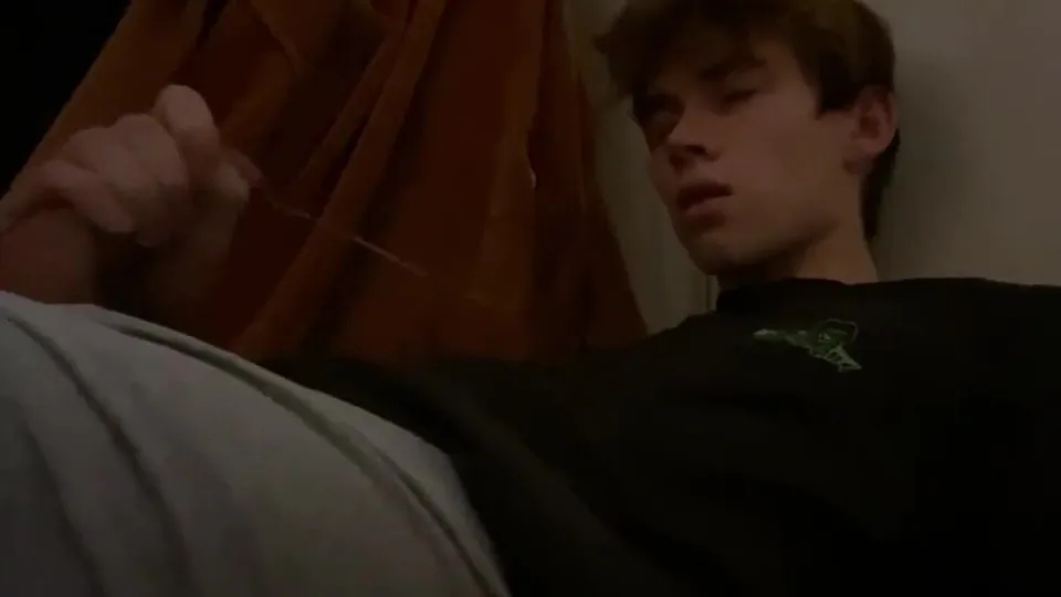 Quiet Morning Encounter