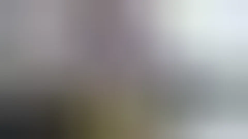 Schwager hatte Sex mit Schwägerin