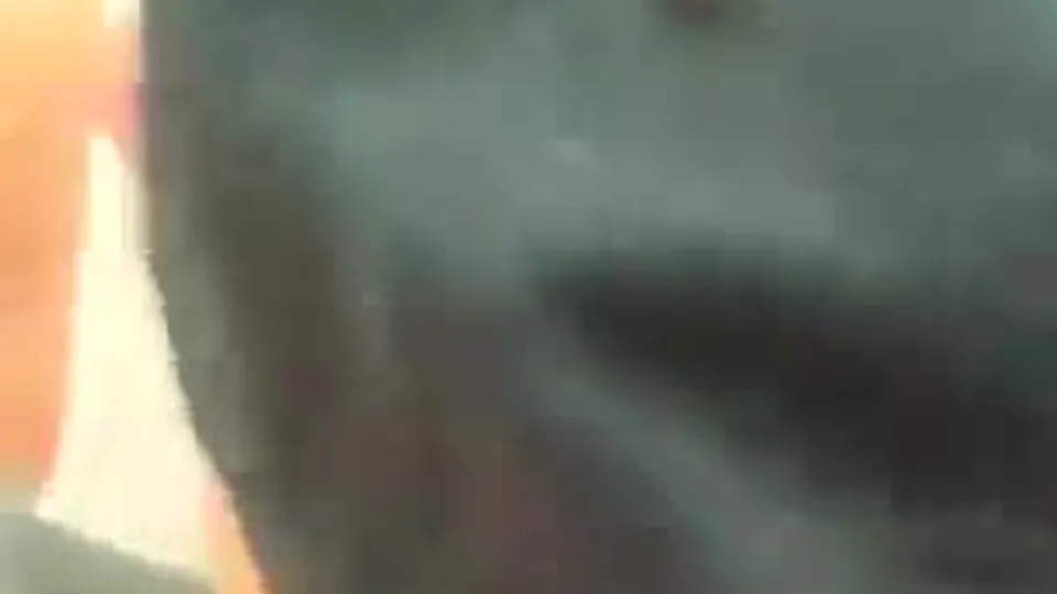Seanxazacharyxx Nude Leaks Gay Porn, Cute And Dickhungry, Massive Dick Stuffing In Asshole, Bareback RAW Fuck (1).mp4